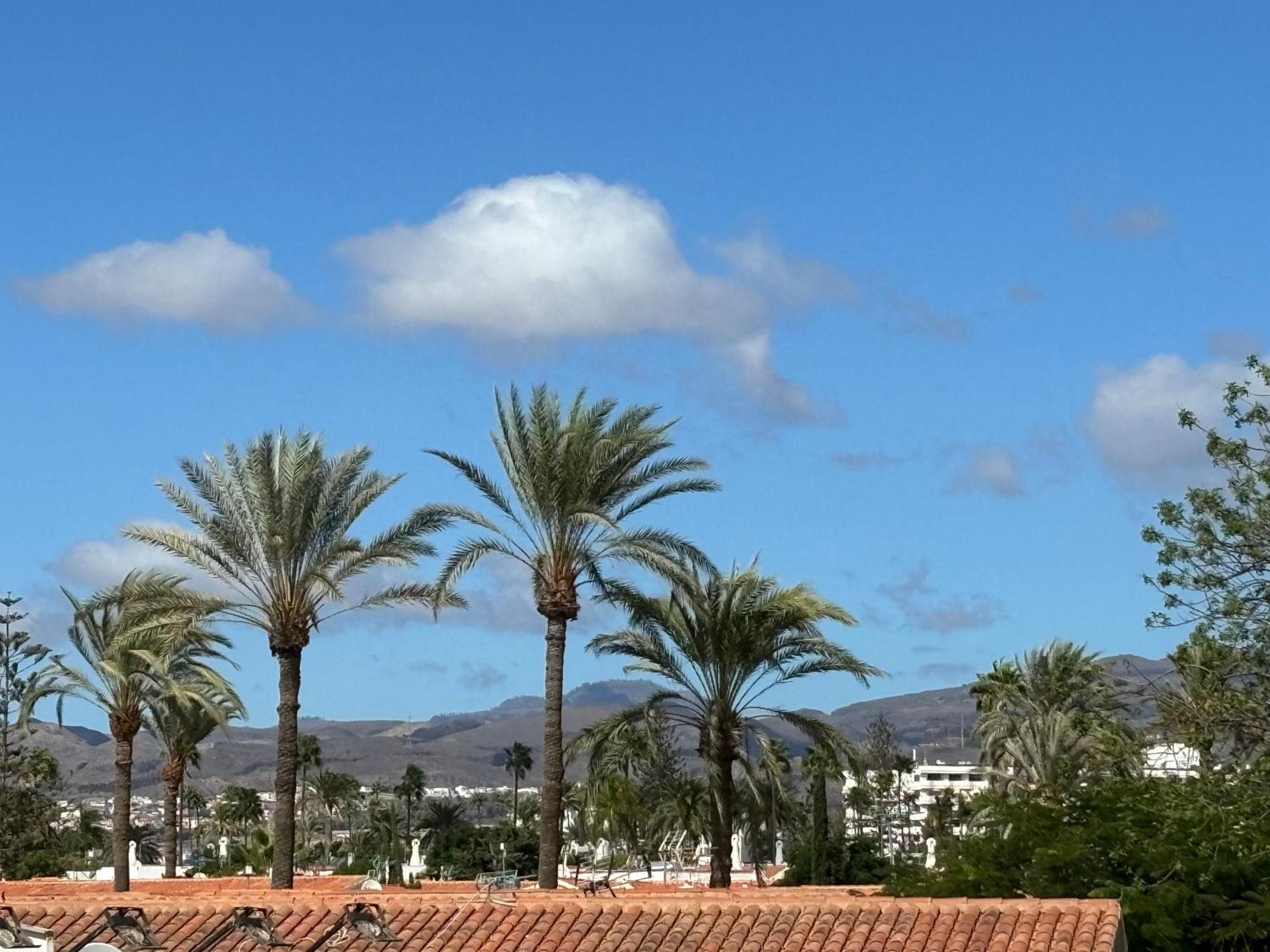 Loris Playa Ingles 50mt From Yumbo By Luca Gran Canaria Apartment *